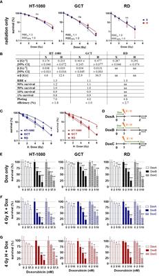 Similar additive effects of doxorubicin in combination with photon or proton irradiation in soft tissue sarcoma models